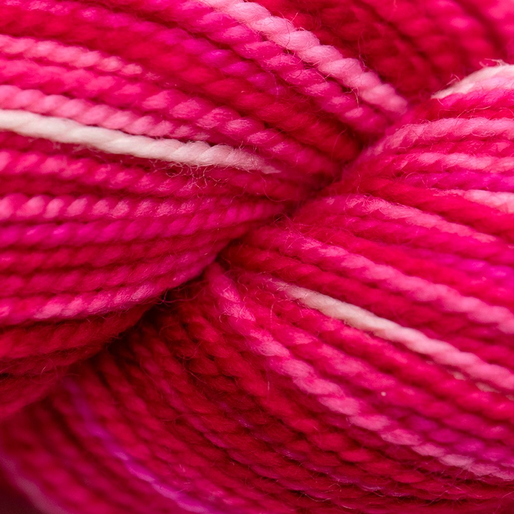 Koigu Koigu KPPPM (2 of 2) - Oh Canada | Yarn at Michigan Fine Yarns