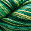 Koigu Koigu KPPPM (2 of 2) - P940 | Yarn at Michigan Fine Yarns