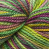 Koigu Koigu KPPPM (2 of 2) - P998 | Yarn at Michigan Fine Yarns