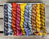 Koigu Koigu KPPPM Pencil Box Sets -Color Explosion 1970 | Yarn at Michigan Fine Yarns