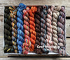 Koigu Koigu KPPPM Pencil Box Sets -Craftsmanship 1910 | Yarn at Michigan Fine Yarns