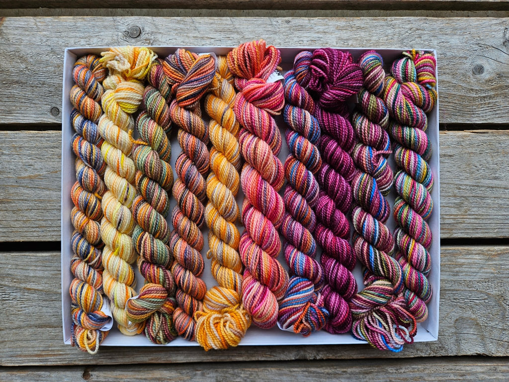 Koigu Koigu KPPPM Pencil Box Sets -Pictured Embrace 35505450 | Yarn at Michigan Fine Yarns