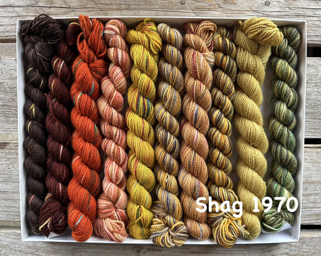Koigu Koigu KPPPM Pencil Box Sets -Shag 1970 | Yarn at Michigan Fine Yarns