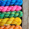 Koigu Paint Cans -Digital | Yarn at Michigan Fine Yarns