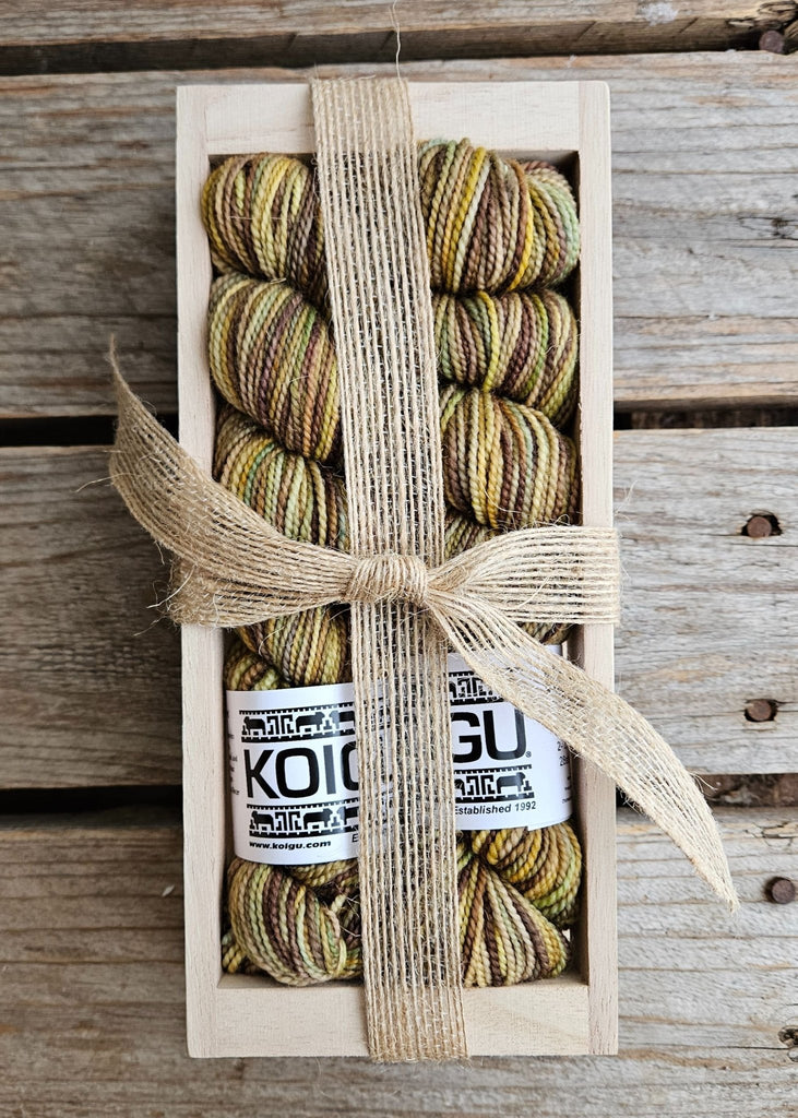 Koigu Sock Crates - P504 | Yarn at Michigan Fine Yarns