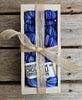 Koigu Sock Crates - P818 | Yarn at Michigan Fine Yarns