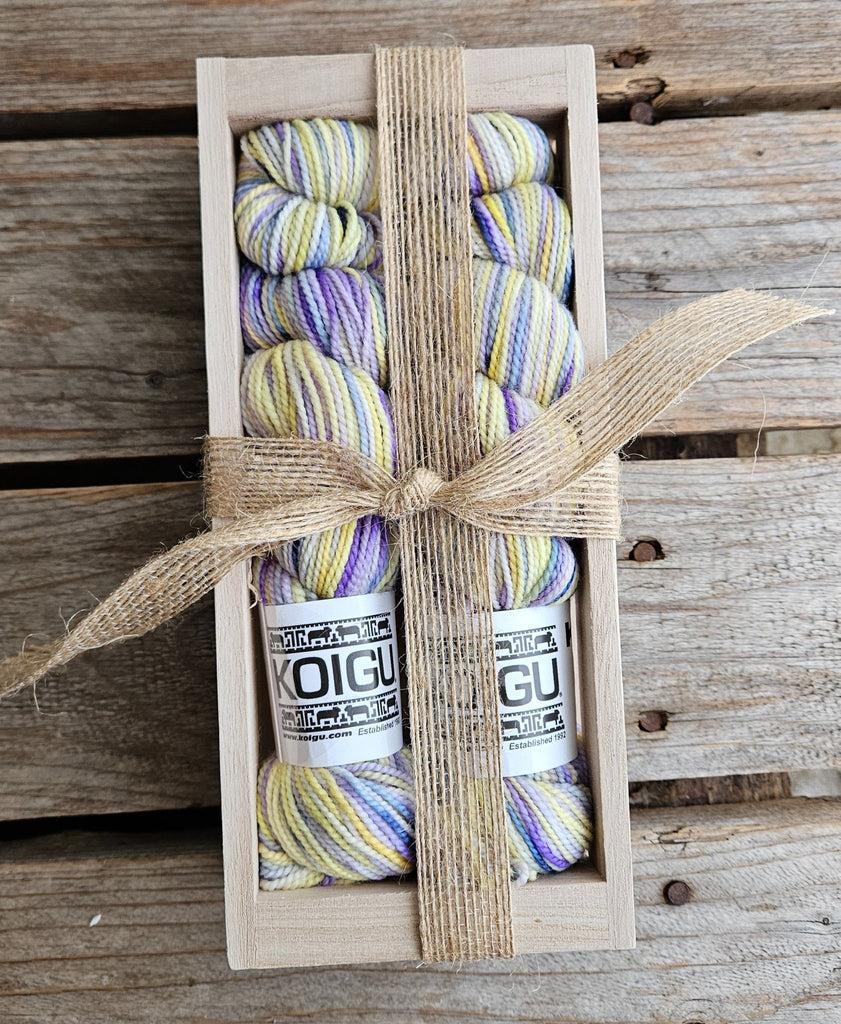 Koigu Sock Crates - P822 | Yarn at Michigan Fine Yarns