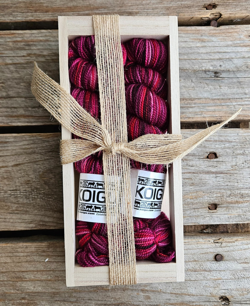 Koigu Sock Crates - P859 | Yarn at Michigan Fine Yarns