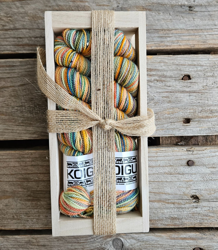 Koigu Sock Crates - P909 | Yarn at Michigan Fine Yarns