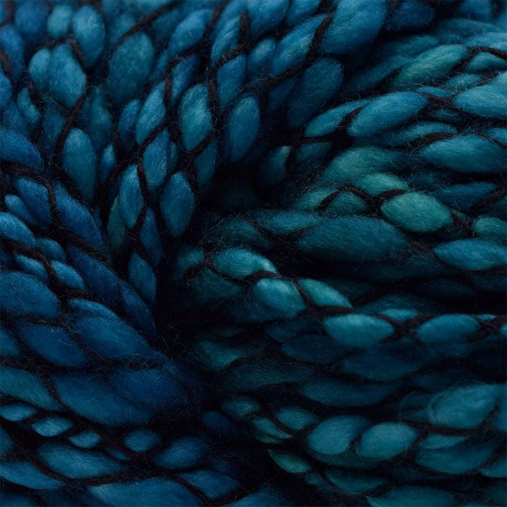 Malabrigo Caracol - 412 - Teal Feather  | Yarn at Michigan Fine Yarns