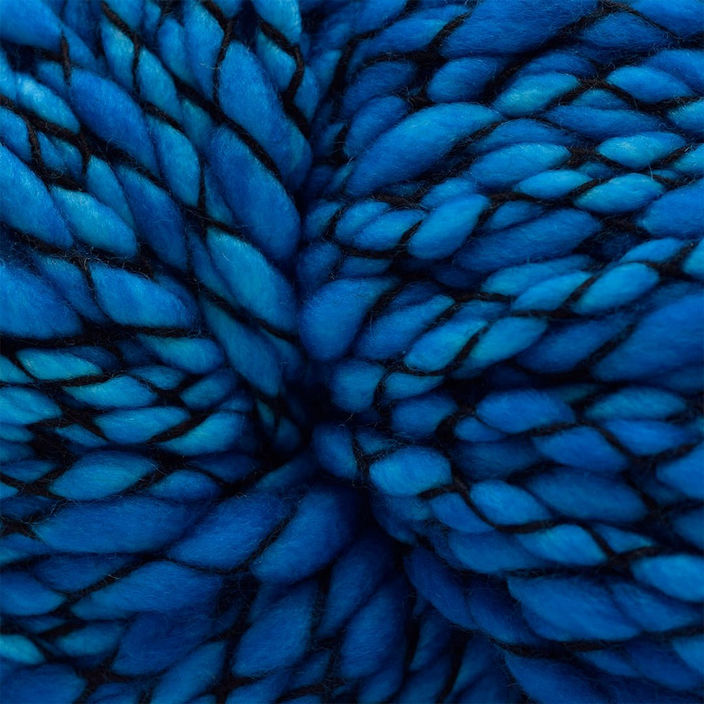 Malabrigo Caracol - 683 - Cian  | Yarn at Michigan Fine Yarns