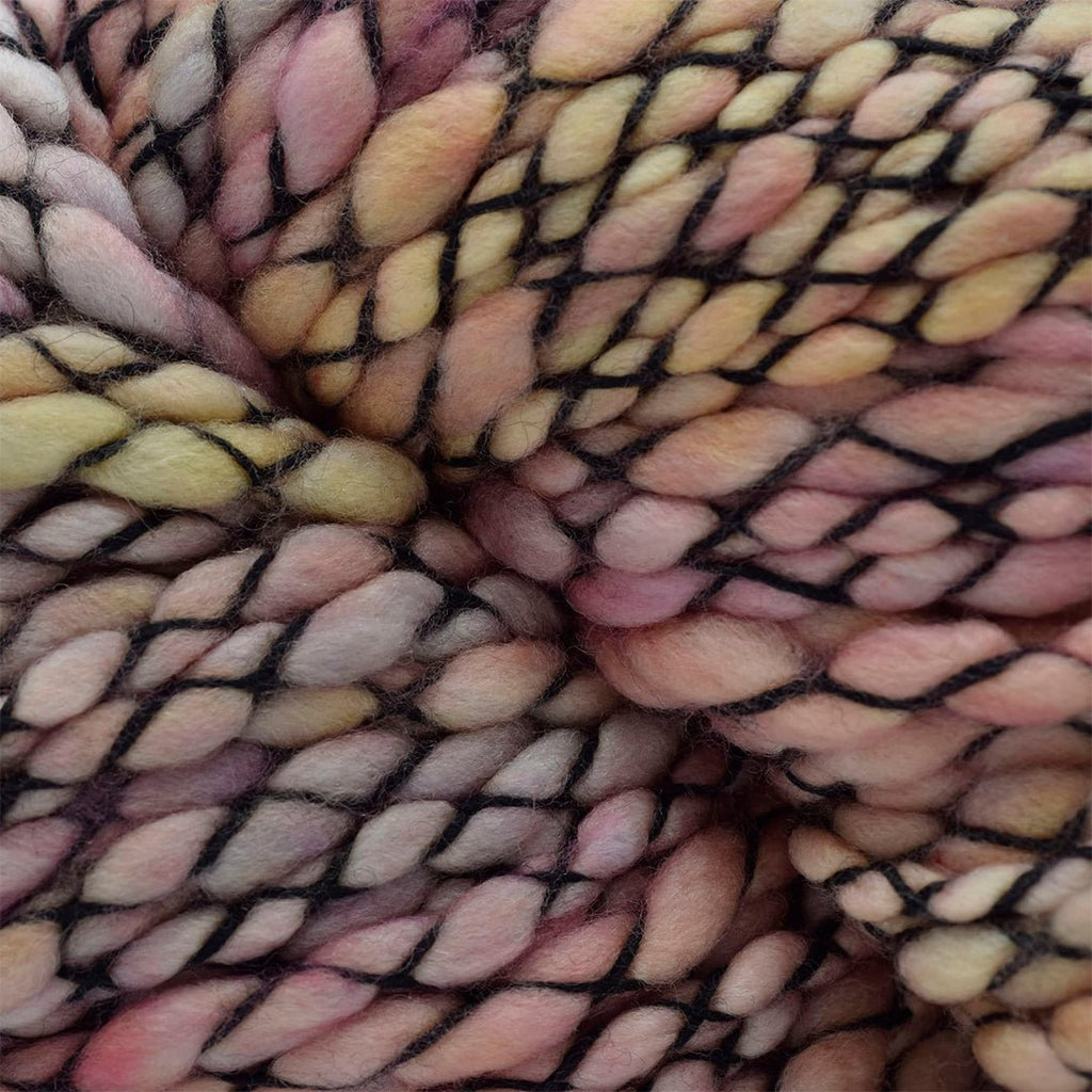Malabrigo Caracol - 90 - Guyunusa  | Yarn at Michigan Fine Yarns