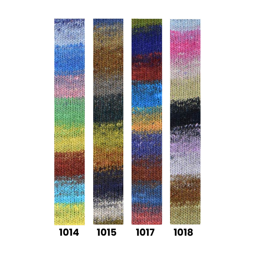 Noro Sonata Shima - 1014 - Kirishima | Yarn at Michigan Fine Yarns