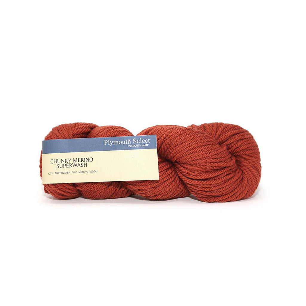 Plymouth Yarns Chunky Merino Superwash - 131 - Pumpkin Spice | Yarn at Michigan Fine Yarns