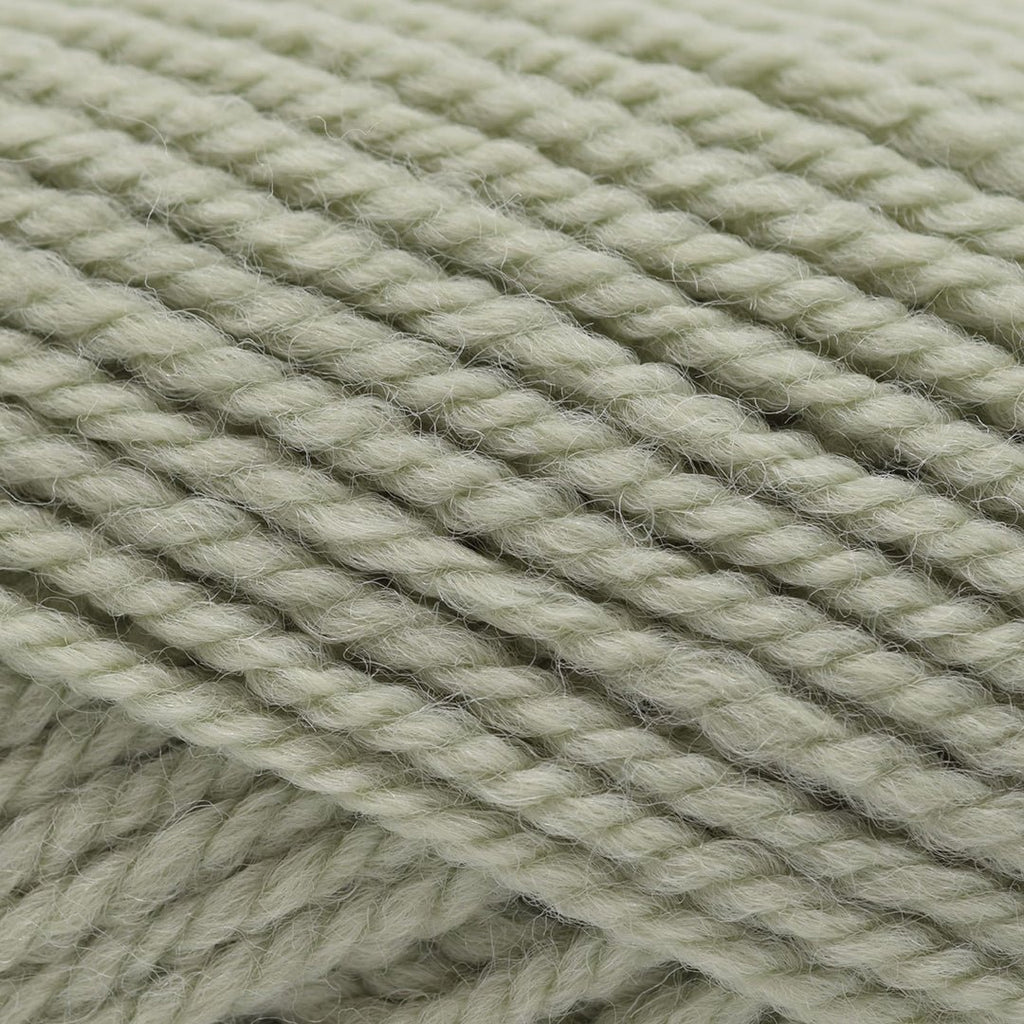Plymouth Yarns Encore Chunky - 1231 - Pale Greenhouse 843273056417 | Yarn at Michigan Fine Yarns