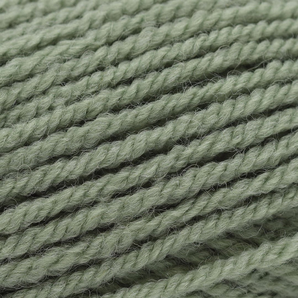 Plymouth Yarns Encore Chunky - 1232 - Light Greenhouse 843273008287 | Yarn at Michigan Fine Yarns