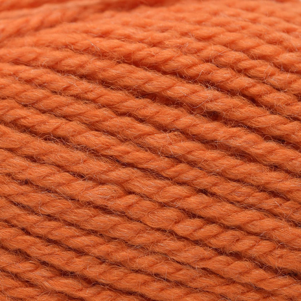 Plymouth Yarns Encore Chunky - 1383 - Bright Orange 843273049679 | Yarn at Michigan Fine Yarns