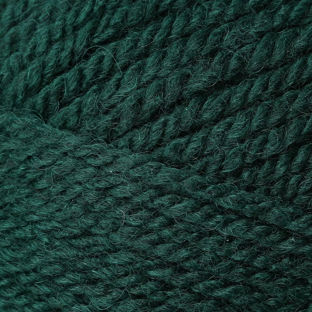 Plymouth Yarns Encore Chunky - 204 - Evergreen 843273004784 | Yarn at Michigan Fine Yarns