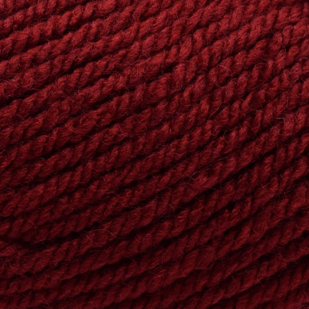 Plymouth Yarns Encore Chunky - 212 - Brick Red 843273054888 | Yarn at Michigan Fine Yarns