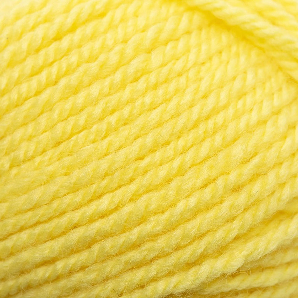 Plymouth Yarns Encore Chunky - 215 - Light Yellow 843273004807 | Yarn at Michigan Fine Yarns