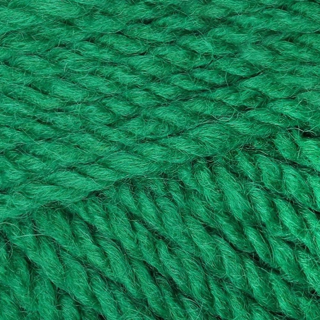 Plymouth Yarns Encore Chunky - 54 - Christmas Green 843273004685 | Yarn at Michigan Fine Yarns