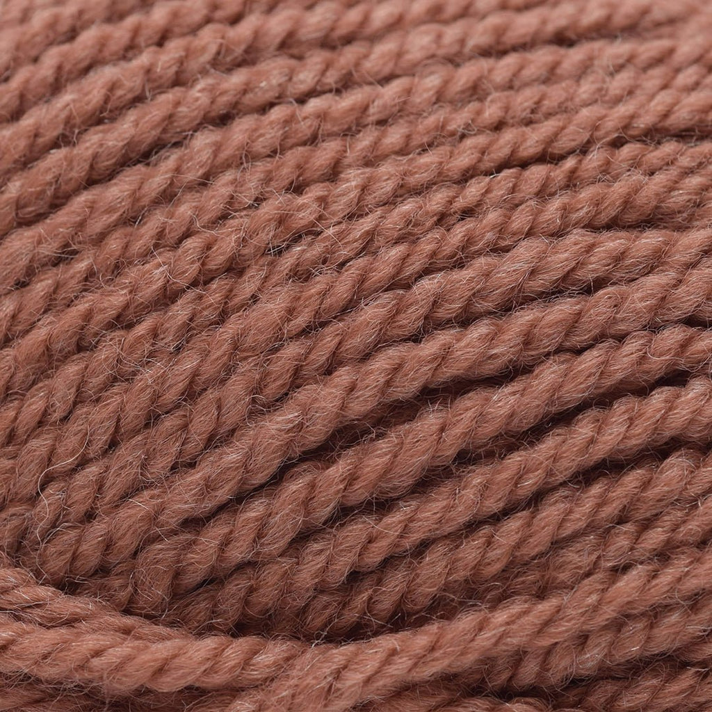 Plymouth Yarns Encore Chunky - 704 - Desert Rose 843273056400 | Yarn at Michigan Fine Yarns