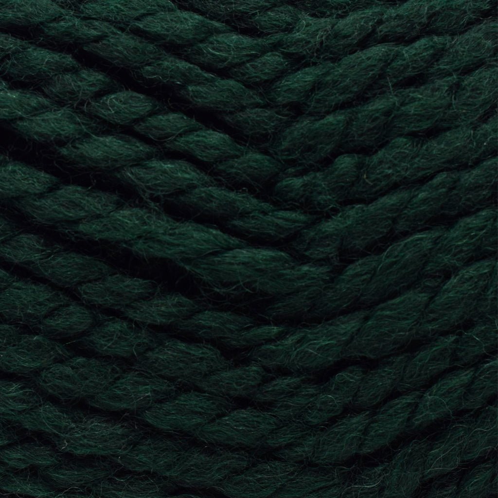 Plymouth Yarns Encore Mega - 204 - Forest Green 843273053591 | Yarn at Michigan Fine Yarns