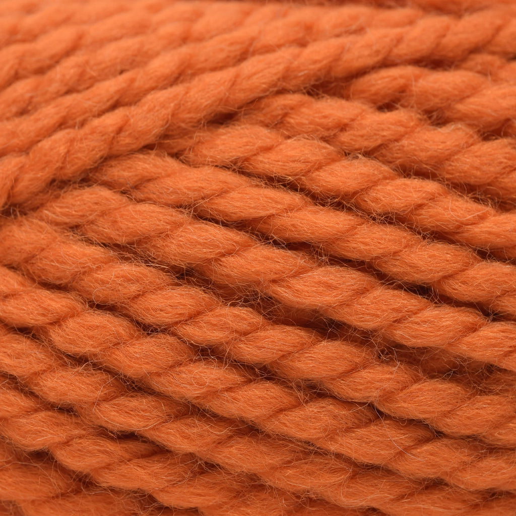 Plymouth Yarns Encore Mega - 691 - Orange 843273037300 | Yarn at Michigan Fine Yarns