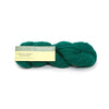 Plymouth Yarns Worsted Merino Superwash - 04 - Green 843273011775 | Yarn at Michigan Fine Yarns