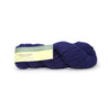 Plymouth Yarns Worsted Merino Superwash - 11 - Navy 843273012178 | Yarn at Michigan Fine Yarns