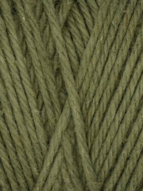 Queensland Coastal Cotton - 1007 - Moss 841275179370 | Yarn at Michigan Fine Yarns