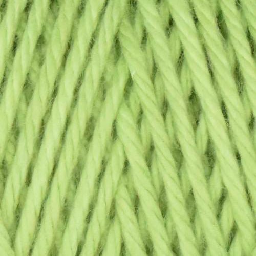 Queensland Coastal Cotton Ocean Mist - 1061 - Sage | Yarn at Michigan Fine Yarns