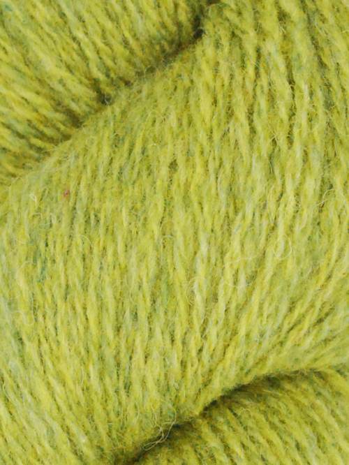 Queensland Shetland Lite - 1003 - Avocado 841275182547 | Yarn at Michigan Fine Yarns