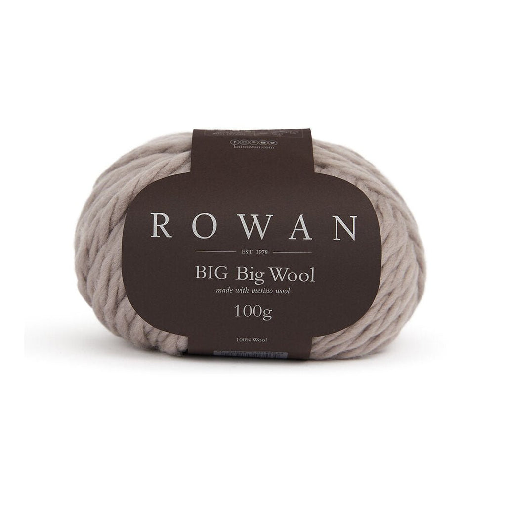 Rowan BIG Big Wool - 212 - Fossil | Yarn at Michigan Fine Yarns