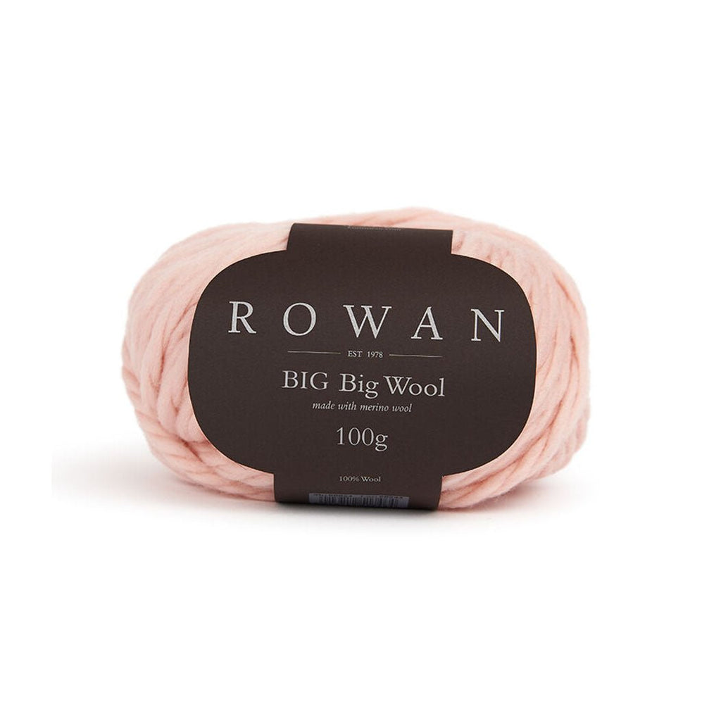 Rowan BIG Big Wool - 213 - China | Yarn at Michigan Fine Yarns