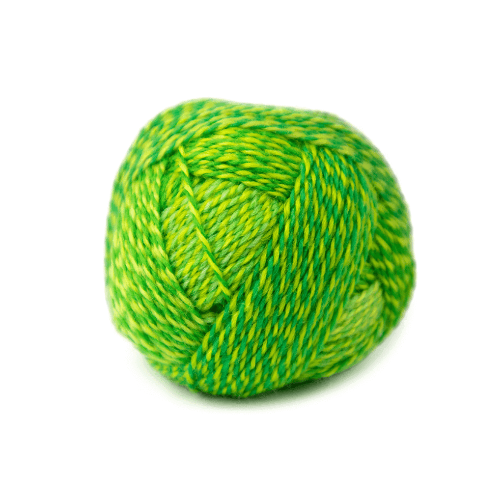 Schoppel Wolle Crazy Boys - 2707 - Frank Walter | Yarn at Michigan Fine Yarns