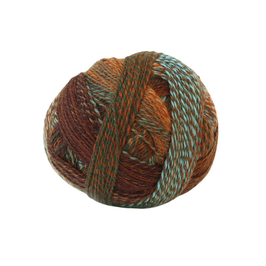 Schoppel Wolle Zauberball Crazy - 1660 - Riverbed 4250331311290 | Yarn at Michigan Fine Yarns
