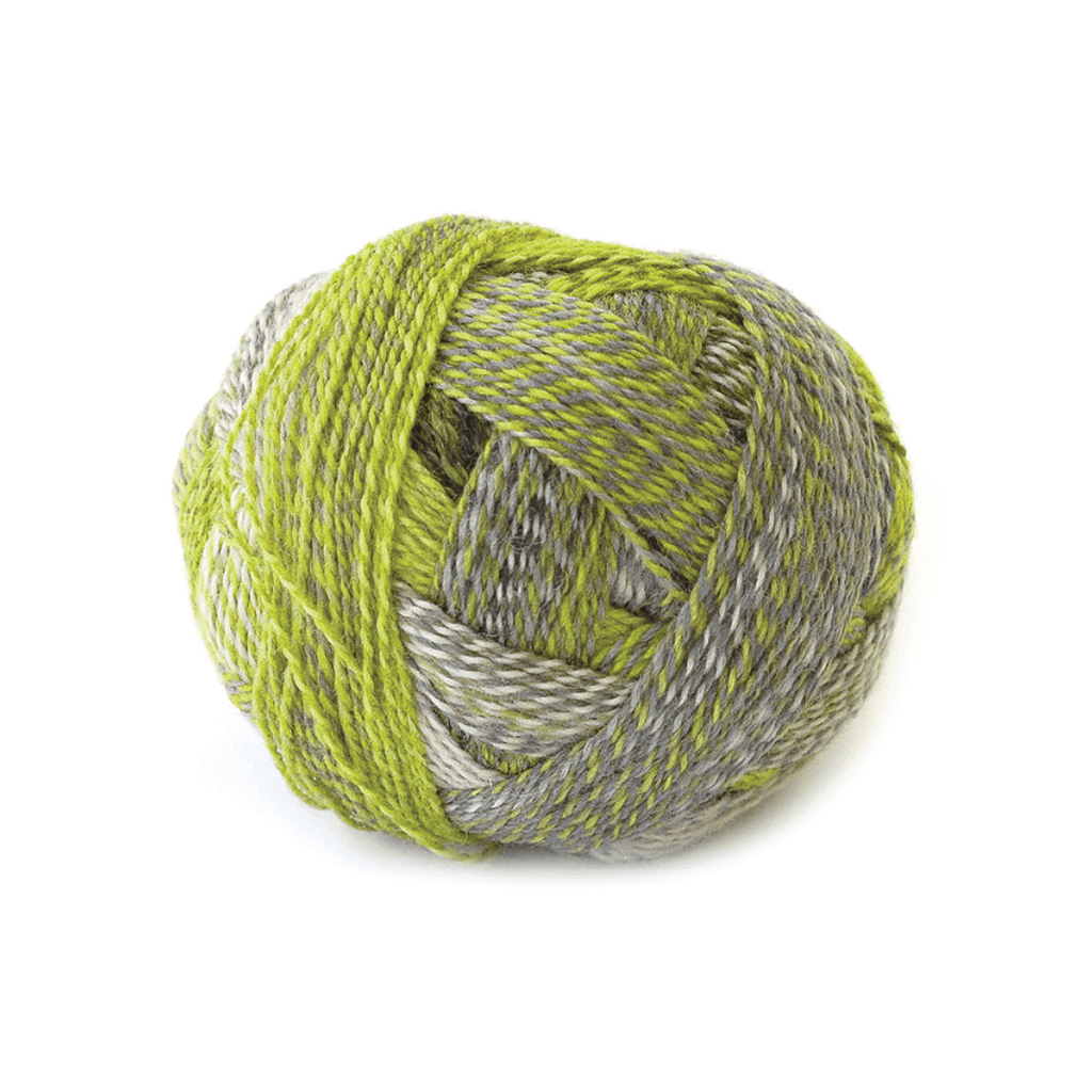 Schoppel Wolle Zauberball Crazy - 2204 - Green Week | Yarn at Michigan Fine Yarns