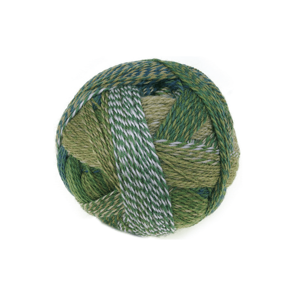 Schoppel Wolle Zauberball Crazy - 2292 - Shooting Star 4250331325679 | Yarn at Michigan Fine Yarns