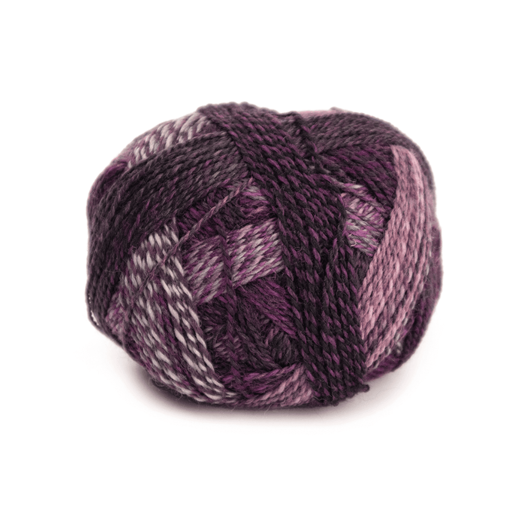 Schoppel Wolle Zauberball Stärke 6 - 2543 - Dark Roses | Yarn at Michigan Fine Yarns
