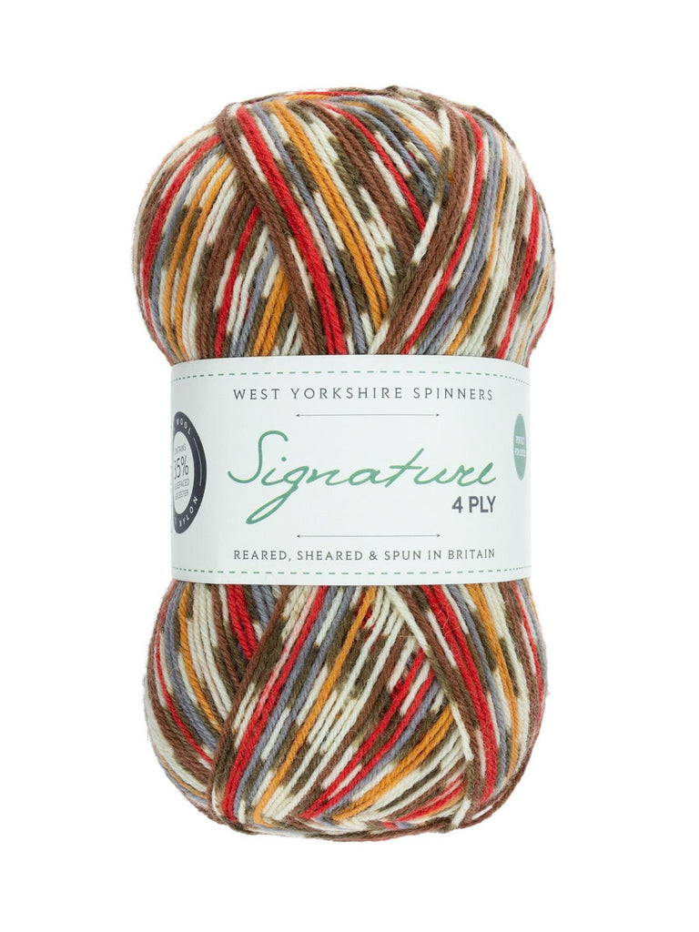West Yorkshire Spinners Signature 4 - ply - 941 - Robin 5053682069419 | Yarn at Michigan Fine Yarns