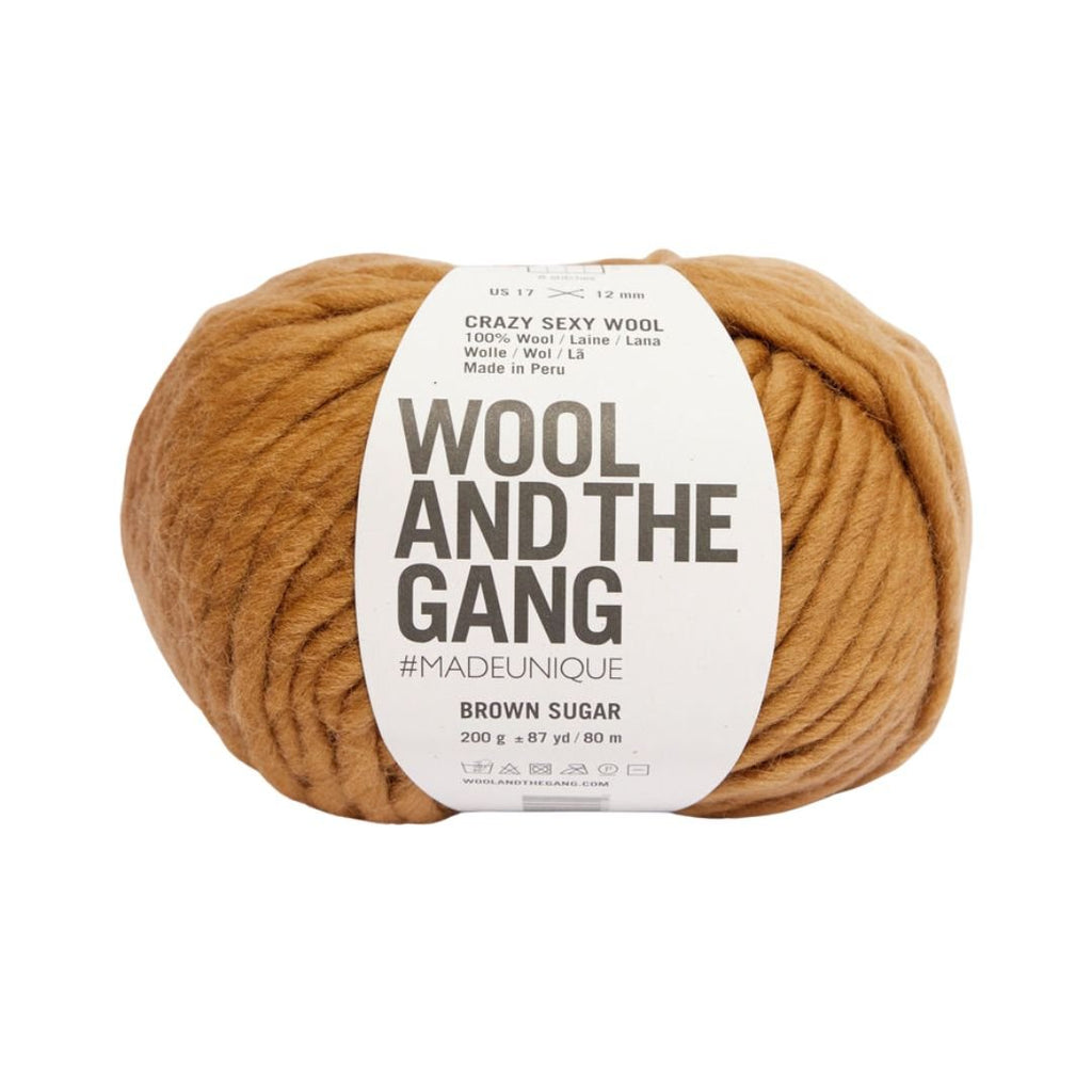 Wool And The Gang Crazy Sexy Wool - Brown Sugar | Yarn at Michigan Fine Yarns