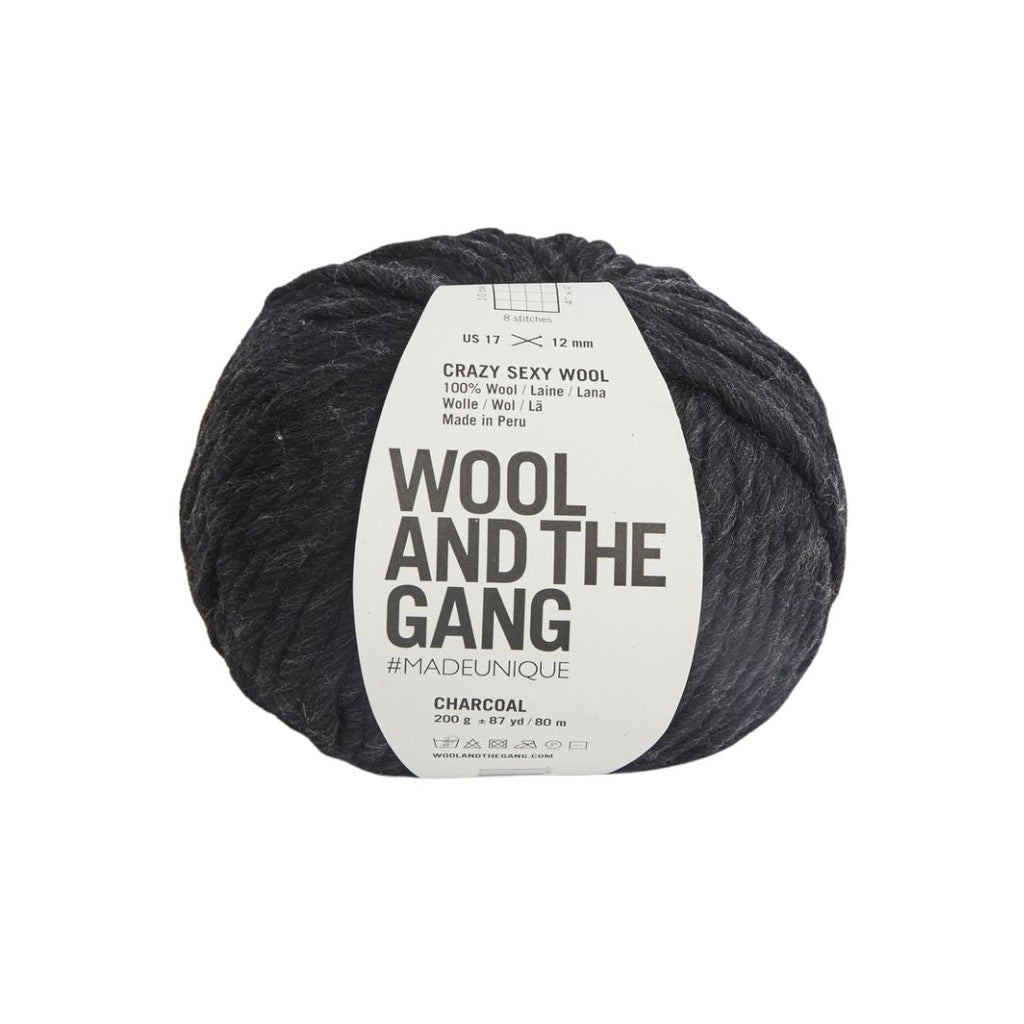 Wool And The Gang Crazy Sexy Wool - Charcoal | Yarn at Michigan Fine Yarns