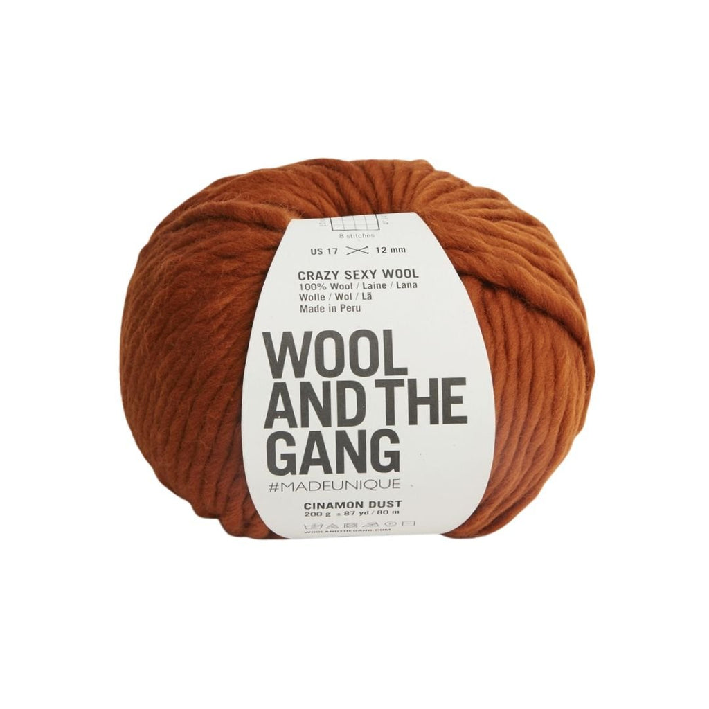 Wool And The Gang Crazy Sexy Wool - Cinnamon Dust | Yarn at Michigan Fine Yarns