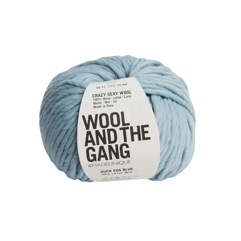Wool And The Gang Crazy Sexy Wool - Duck Egg Blue | Yarn at Michigan Fine Yarns