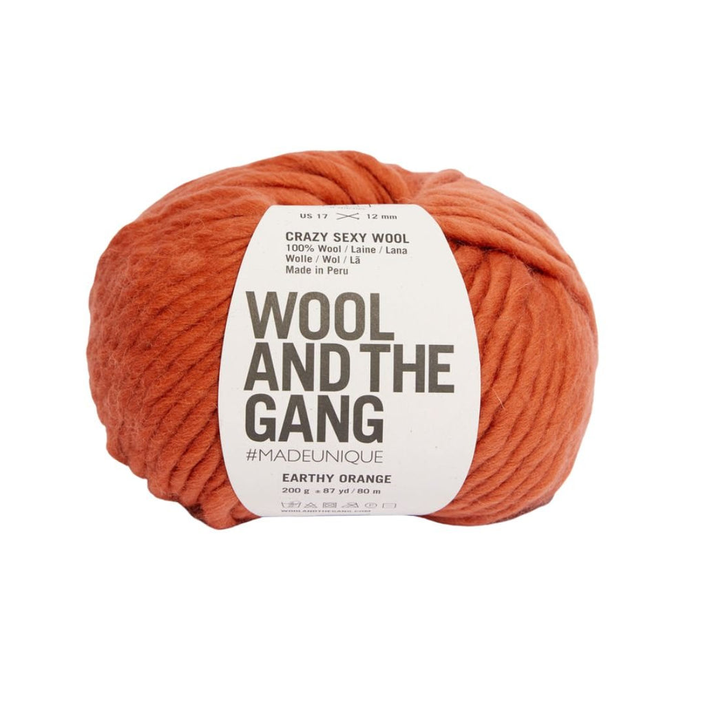 Wool And The Gang Crazy Sexy Wool - Earthy Orange | Yarn at Michigan Fine Yarns