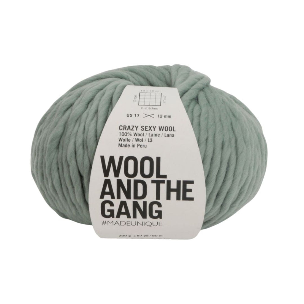 Wool And The Gang Crazy Sexy Wool - Eucalyptus Green | Yarn at Michigan Fine Yarns