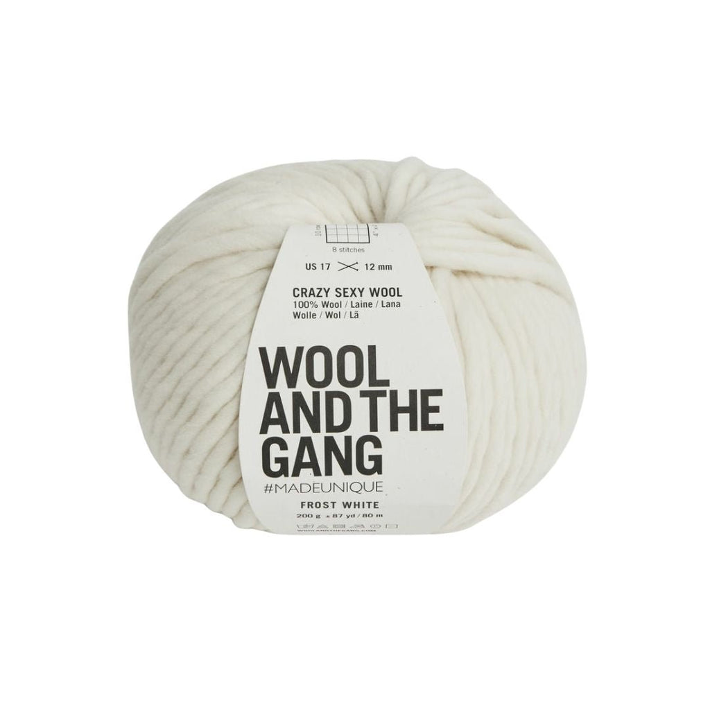 Wool And The Gang Crazy Sexy Wool - Frost White | Yarn at Michigan Fine Yarns