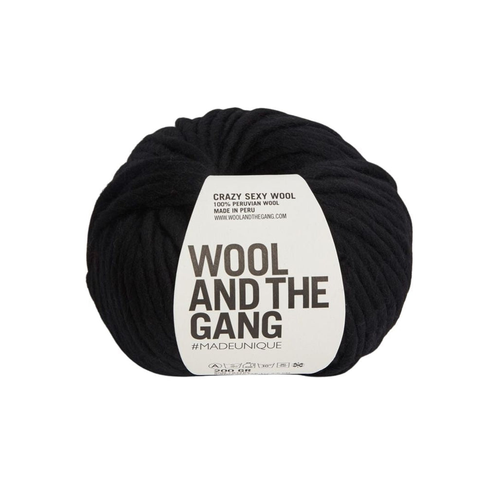 Wool And The Gang Crazy Sexy Wool - Space Black | Yarn at Michigan Fine Yarns
