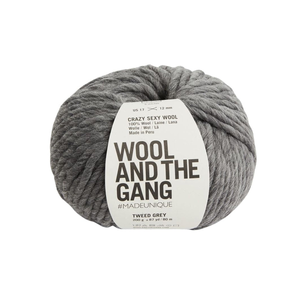 Wool And The Gang Crazy Sexy Wool - Tweed Grey | Yarn at Michigan Fine Yarns